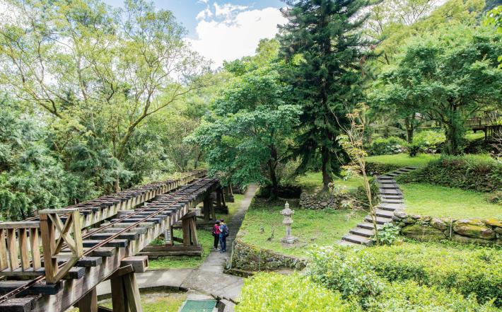 林田山過去曾為臺灣四大林場之一，漫步在「森坂步道」上，感受舊時光。