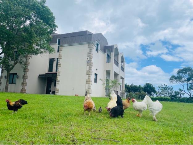大草坪的庭院不但放養小動物，也能讓小朋友放電不停歇。