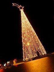 christmas-tree-1170350
