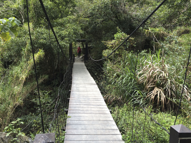 綠水合流步道吊橋