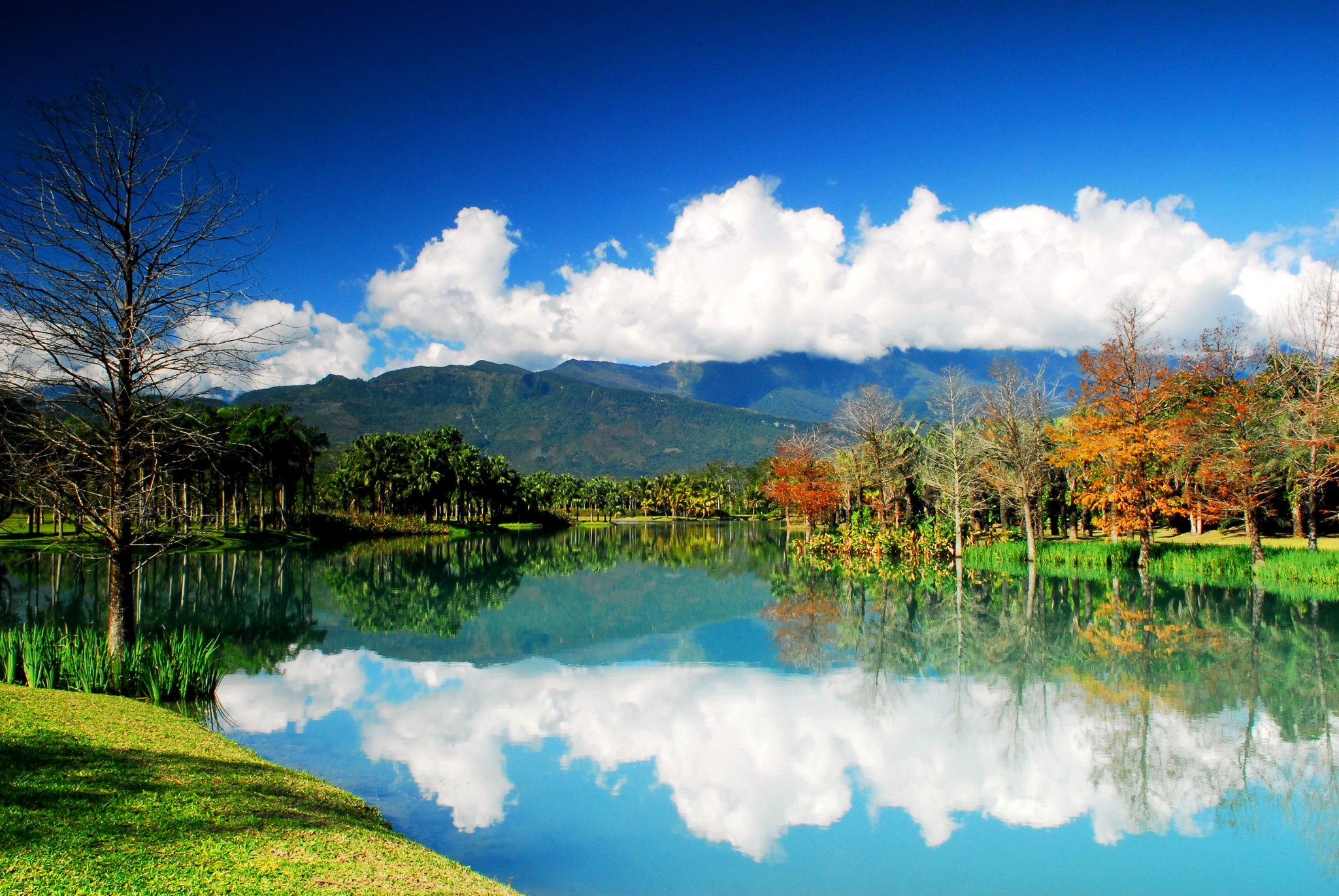 雲山水溼地生態園區風景