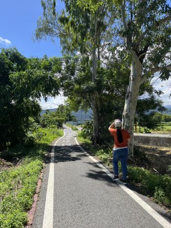 田園線自行車道