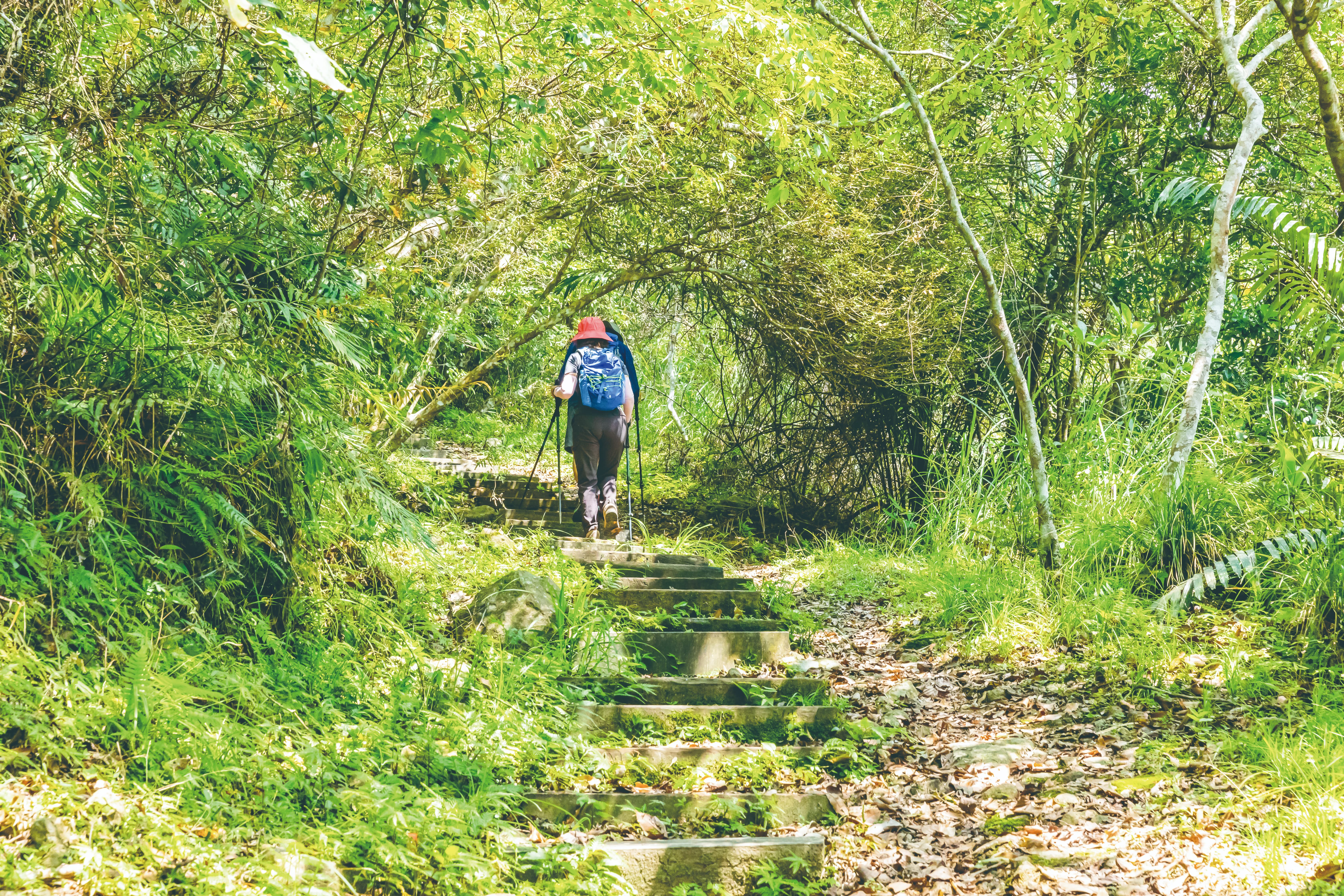 Fun Hualien NO.45】Slow, Breathe in the Forest Air》10 Minutes to Reach the  Mountains or the Sea