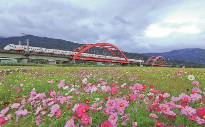 The Kecheng Steel Bridge, with its varying floral scenery, becomes a sight too beautiful to miss