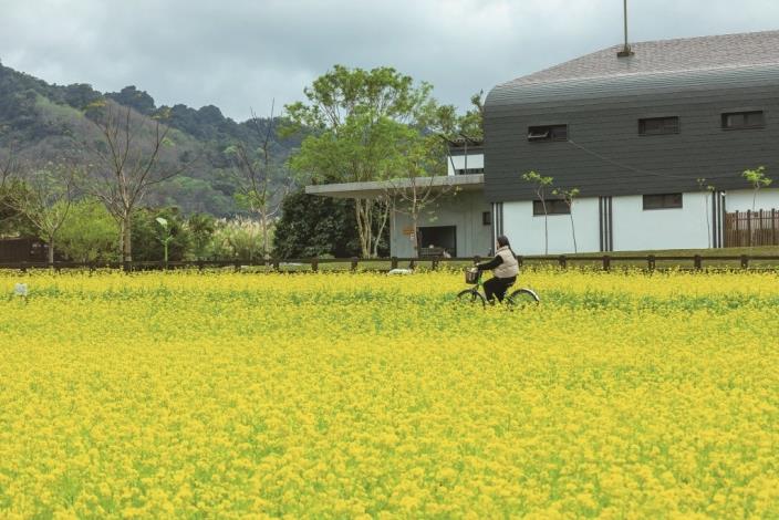 The Danongdafu Visitor Center blends gracefully into the valley landscape, providing a welcoming gateway to the park