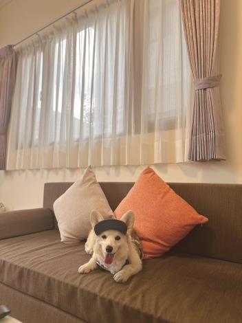 Hoya Spa Manor offers rooms where pets can stay comfortably, as well as outdoor hot spring facilities for shared fun. (2)