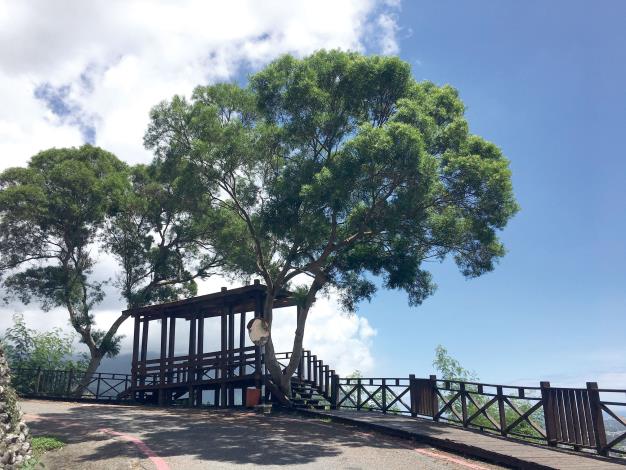 Maple Forest Trail Offers A View of Hualien 5