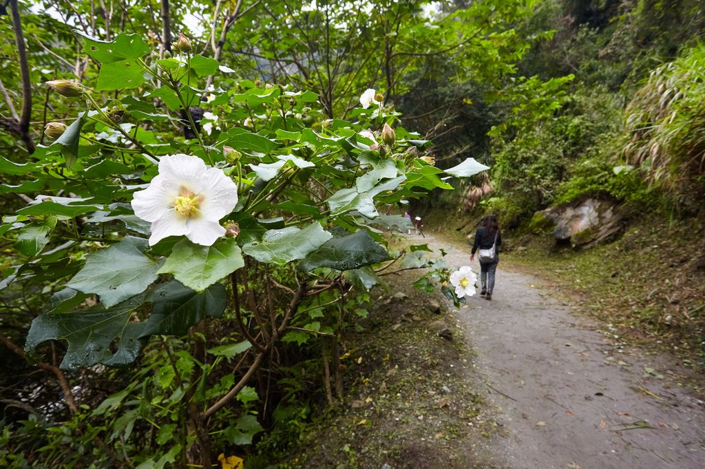 A Unique Cave on the Baiyan Trail 1