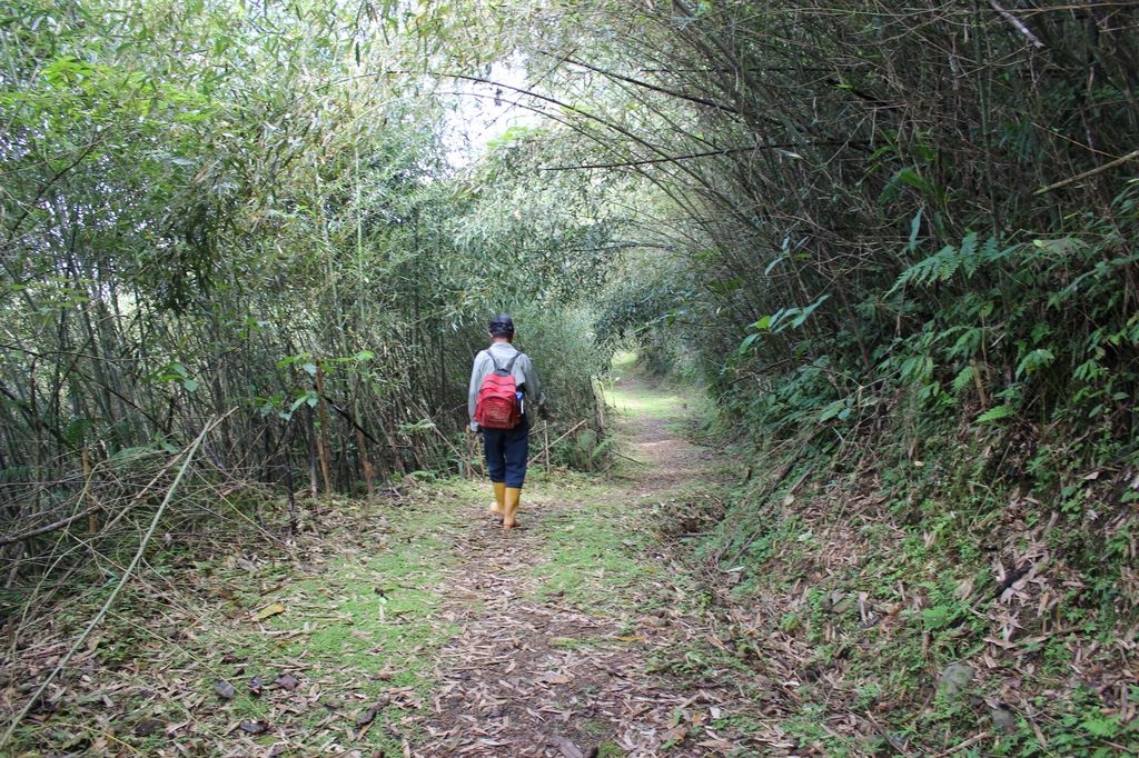 Antong Traversing Trail, An Experience of the Hundred-year-old Ancient Trail 2