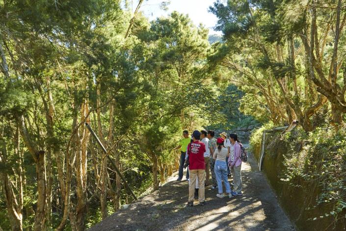 Antong Traversing Trail, An Experience of the Hundred-year-old Ancient Trail 4