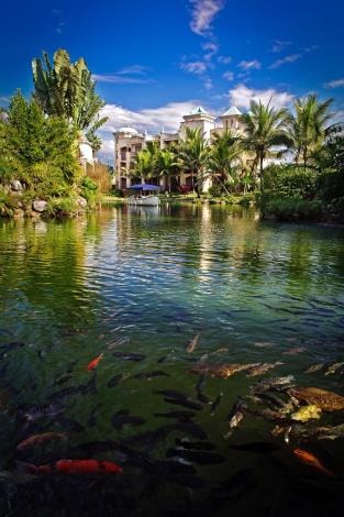 Promisedland Resort & Lagoon 4