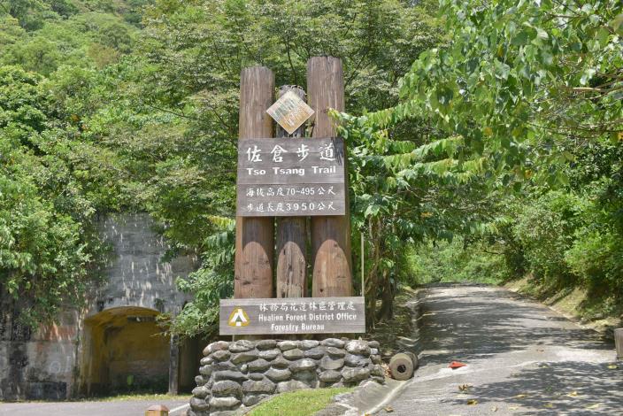 Sakura Trail 4