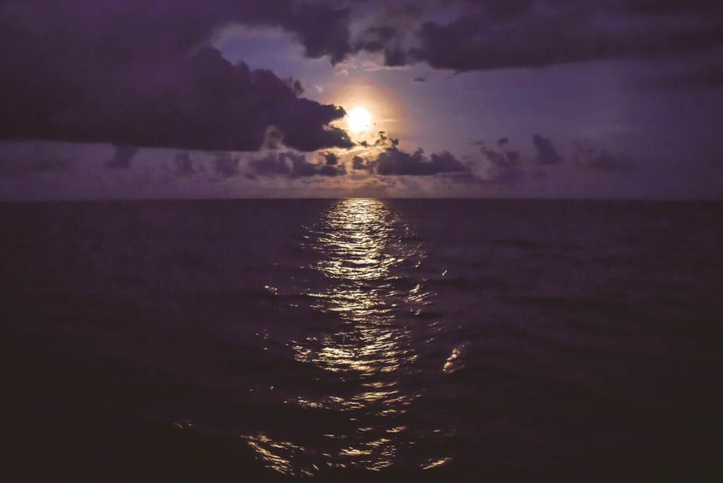 /001/Upload/439/relpic/12468/9392/89a9835c-f7f8-4fe8-92f1-0c832fe5d919.jpg