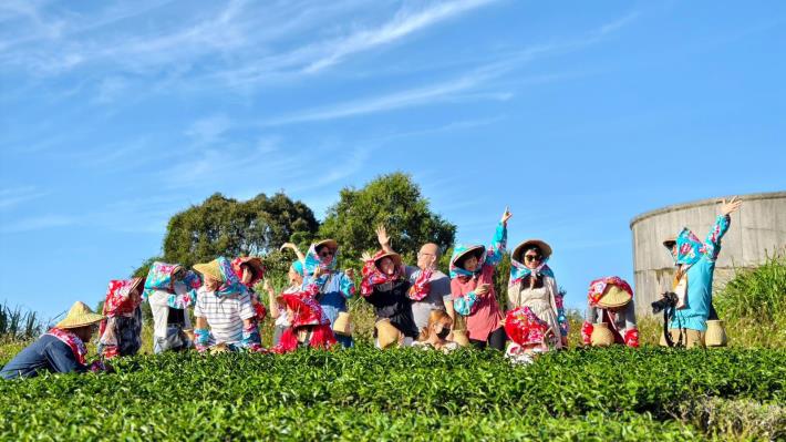 톈신 티하우스에서는 더 많은 사람이 이곳의 좋은 차를 직접 느낄 수 있도록 '찻잎 장인 체험' 프로그램을 마련했습니다._結果