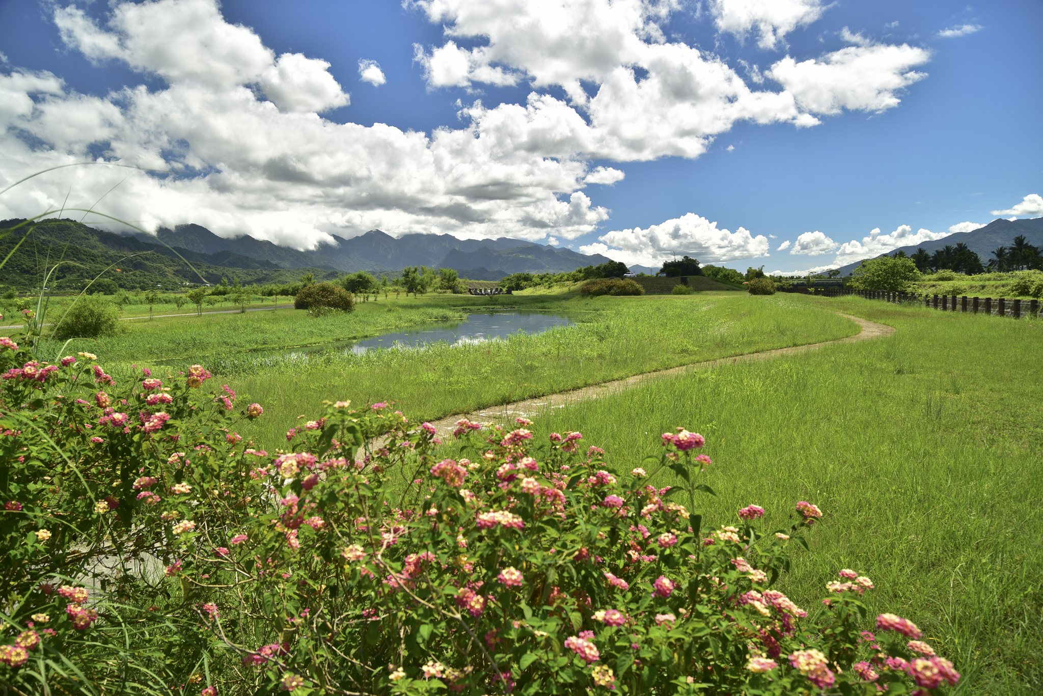 위리습지-치모습지공원